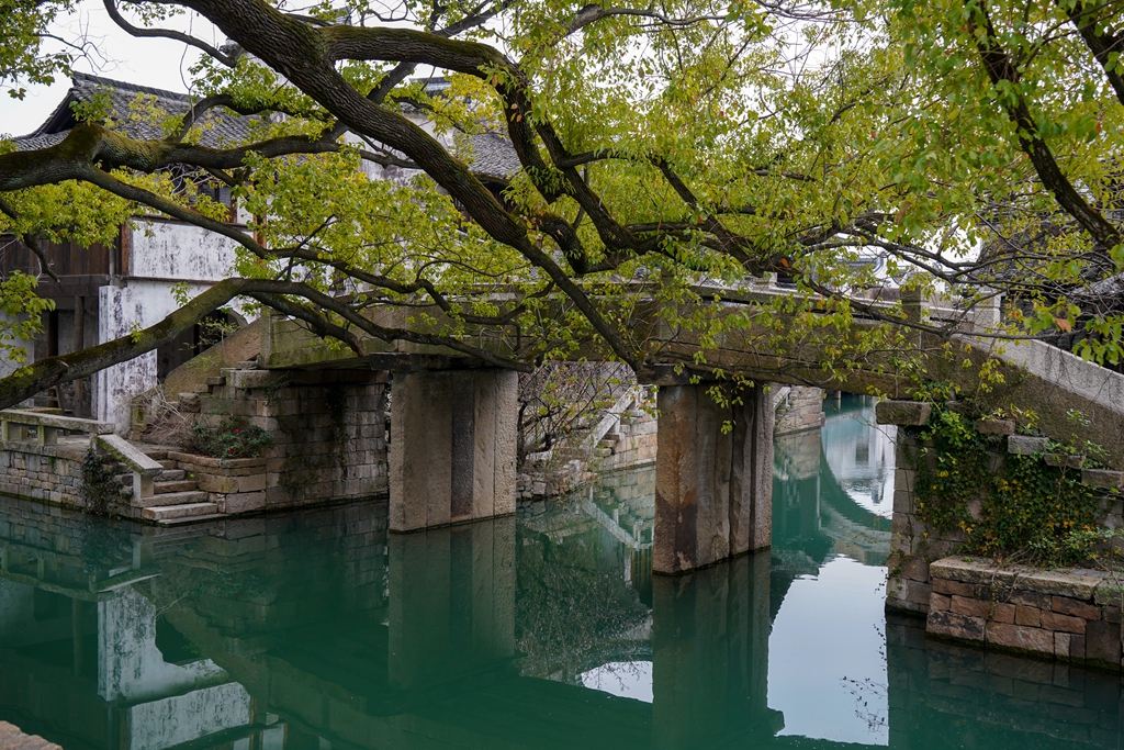 DSC06647_副本.jpg