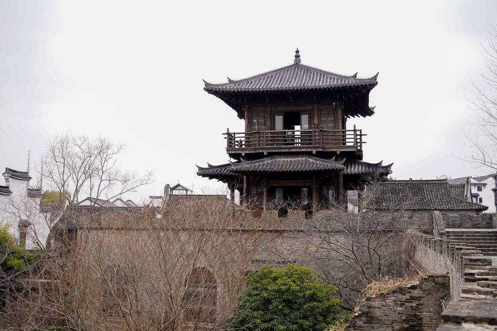 DSC06617_副本.jpg