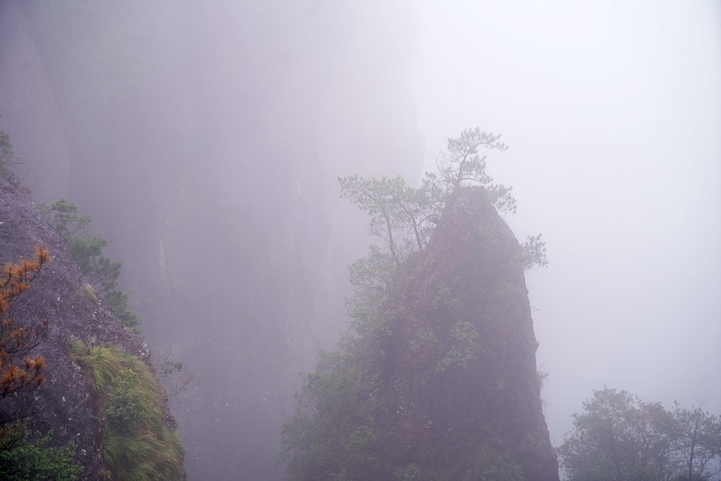 DSC08005_副本.jpg