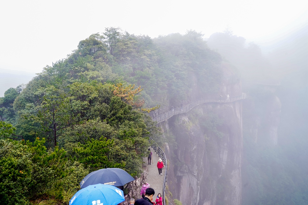 DSC08023_副本.jpg