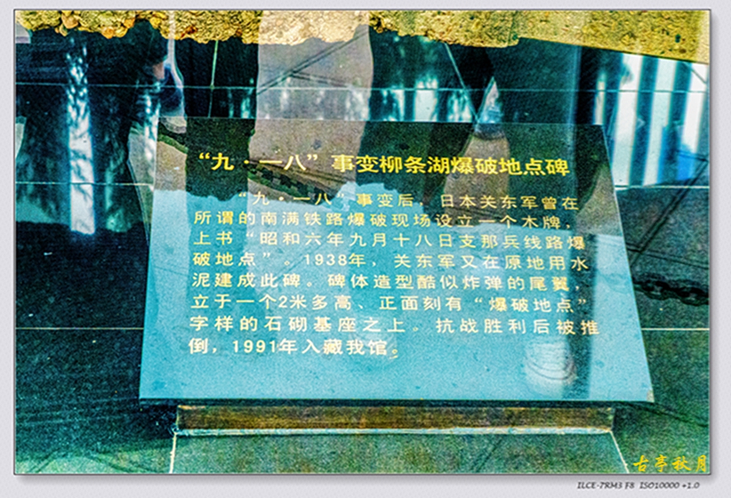 DSC08447.jpg