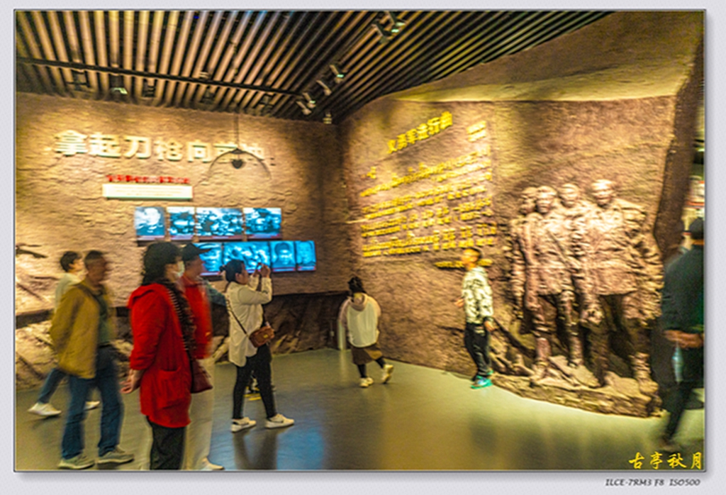 DSC08527.jpg