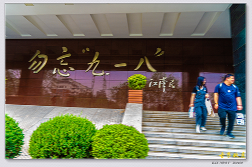 DSC08551.jpg
