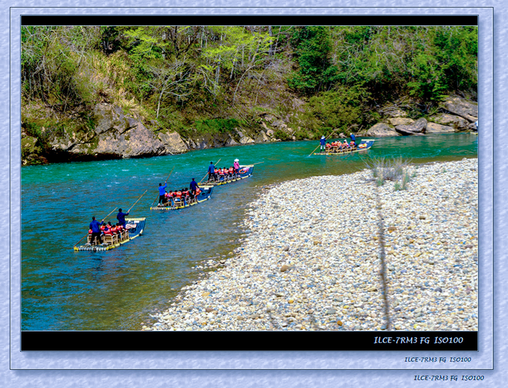 _DSC8798.jpg