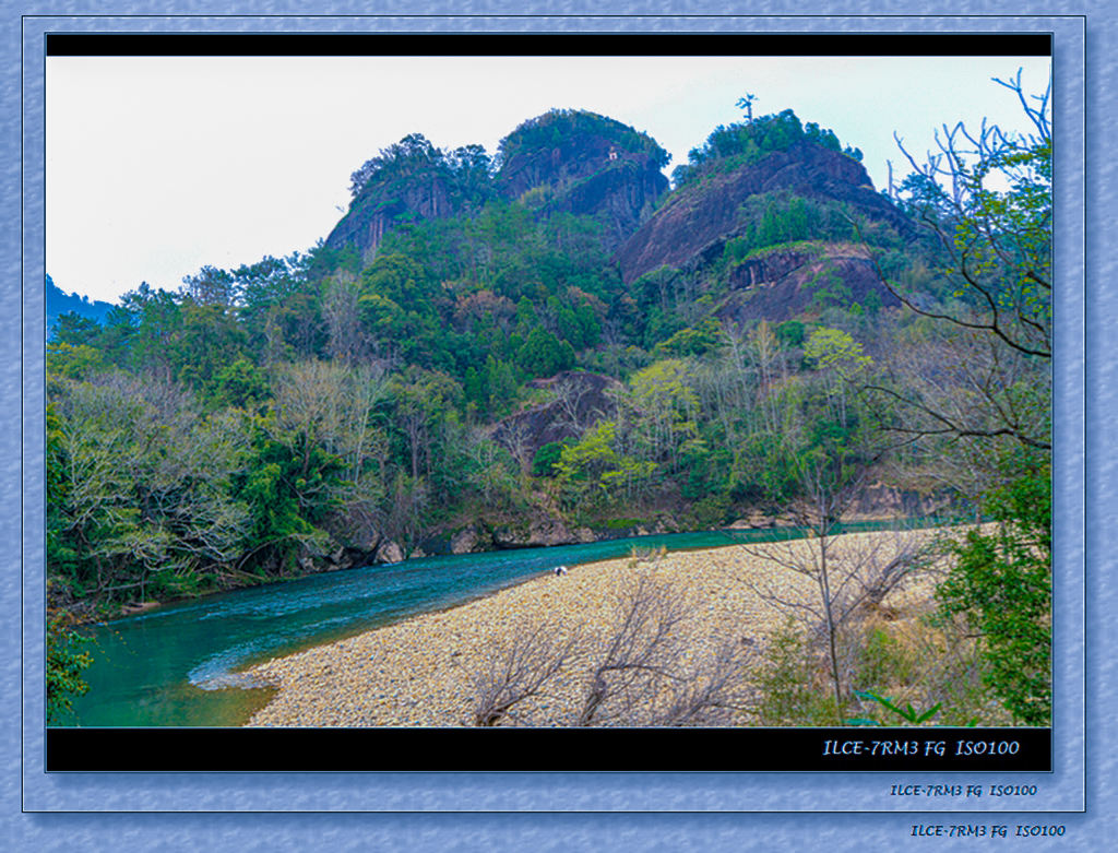 _DSC9017.jpg
